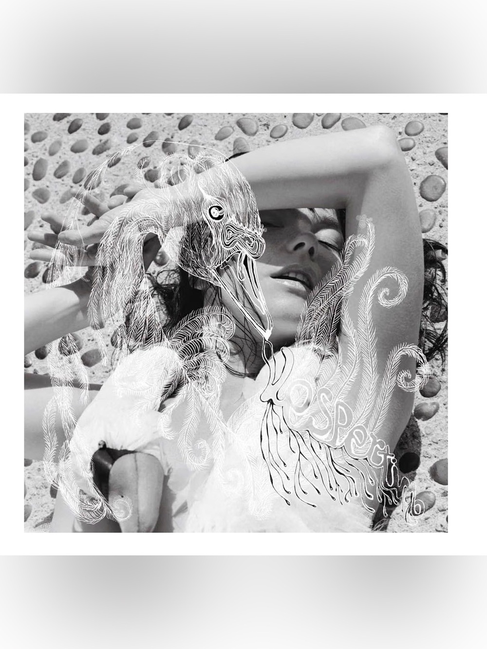Bjork “Vespertine” Vinyl Record